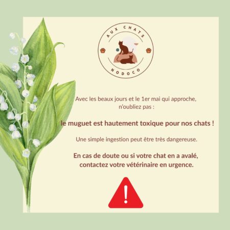 Muguet du 01 Mai