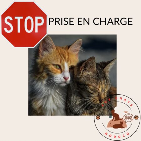 STOP aux prises en charge (temporairement)