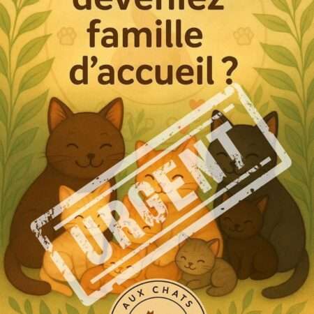 Recherche Famille d’Accueil