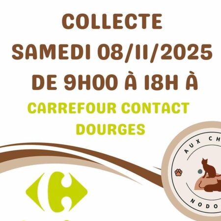 Collecte pour chats – 18 novembre à Carrefour Dourges