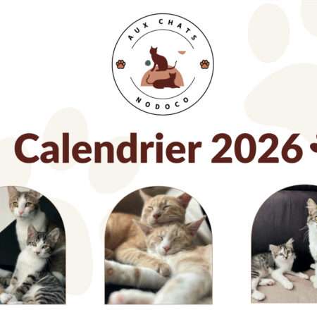 Calendrier Solidaire 2026