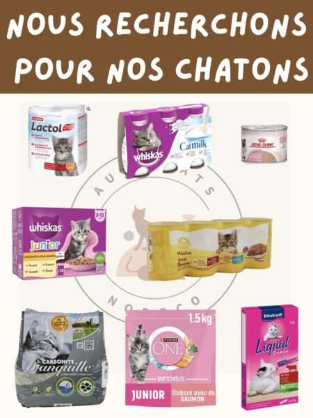 Collecte Carrefour Contact