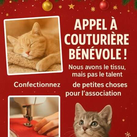 🎄 Recherche bénévoles couture pour notre marché de Noël au profit des chats 🐾