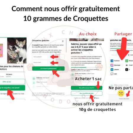 🐾 Offrez des croquettes gratuitement à nos chatons avec Tribeaction 😺