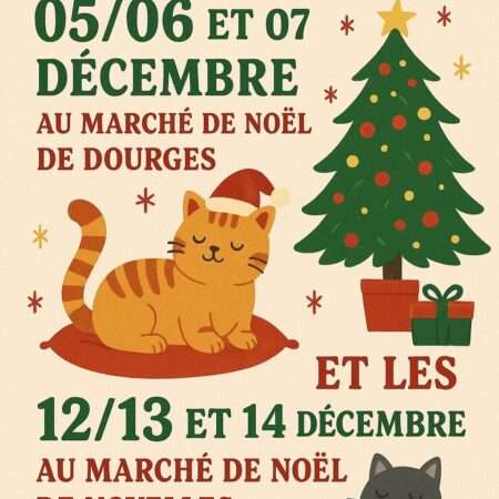 🎄 Aux Chats Nodoco présent aux Marchés de Noël de Dourges et Noyelles-Godault