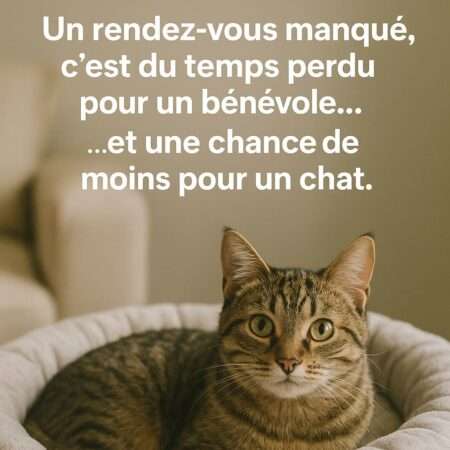 Respect des rendez-vous : un engagement essentiel pour nos familles d’accueil