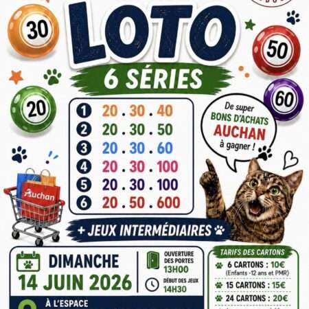 LOTO SOLIDAIRE AU PROFIT DES CHATS 