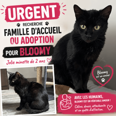 Urgence pour Bloomy