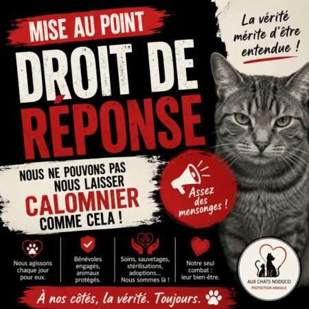 MISE AU POINT campagne de stérilisation Dourges