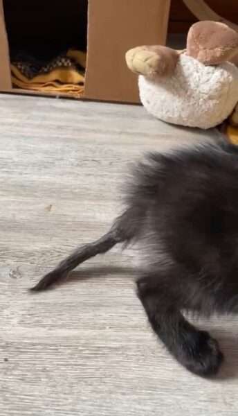Bénie